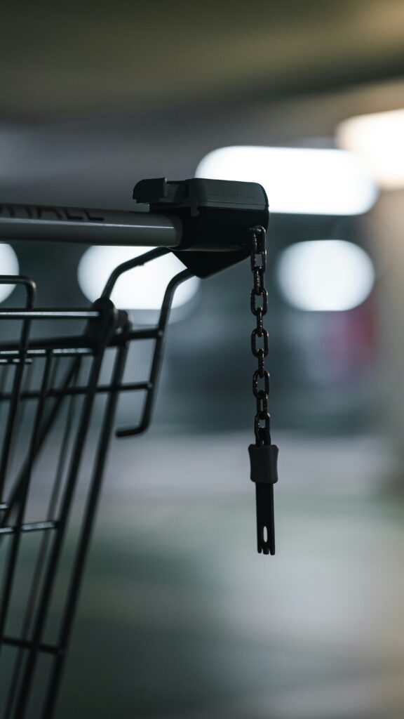Verified software supply chain ensuring all third-party code, libraries, and tools are safe, authentic, and unmodified